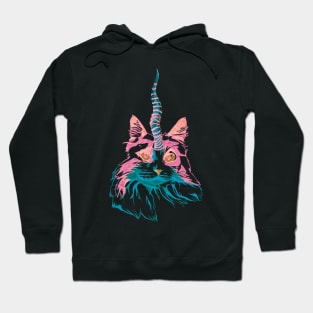 Fluffy Caticorn Hoodie